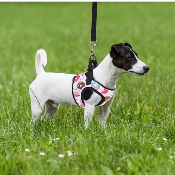 Donut Dog Harness with Leash Set - Picture 6 of 7